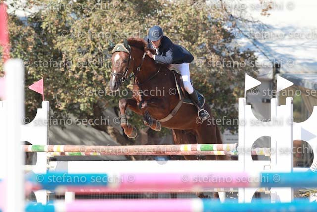 LEGNANI_ODEON_GIO CAV 2011_SS3_6645.jpg